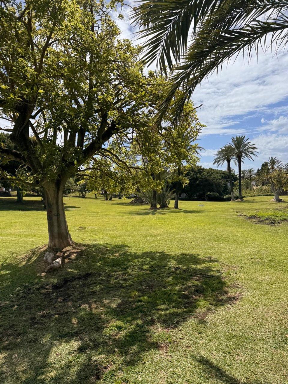 Estudio Con Terraza En Marbella Bagian luar foto